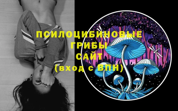 Альфа ПВП Алексеевка