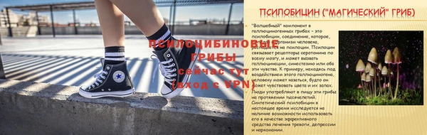 дмт Алексин