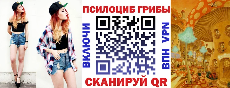 цены наркотик  Брянск  kraken tor  Галлюциногенные грибы Magic Shrooms 